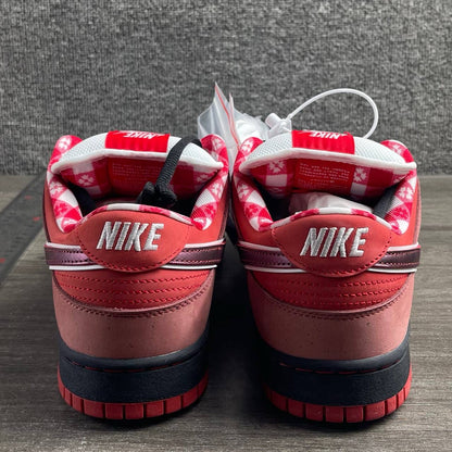 Nike SB Dunk Low Red Lobster