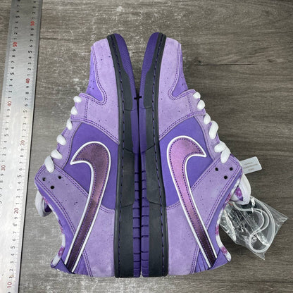 Nike SB Dunk Low Purple Lobster